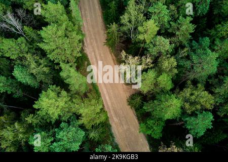 Strada per camion in legno che attraversano la foresta, vista aerea Foto Stock