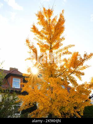 Berlino, Germania. 28th Ott 2022. Questa foto scattata il 28 ottobre 2022 mostra una vista autunnale a Berlino, capitale della Germania. Credit: Ren Pengfei/Xinhua/Alamy Live News Foto Stock