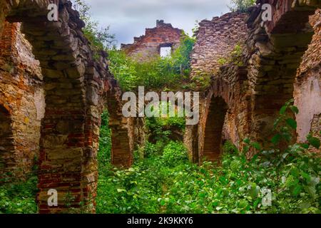 Rovine del barocco Palazzo di Wlodowice vicino alla città di Zawiercie, Jura Krakowsko-Czestochowska Upland, Polonia Foto Stock