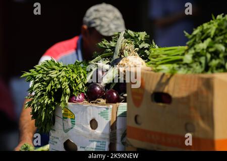 Bucarest, Romania - 4 agosto 2022: Profondità di campo poco profonda (fuoco selettivo) dettagli con un uomo che spinge un carrello con le verdure nel mercato Obor a Buch Foto Stock
