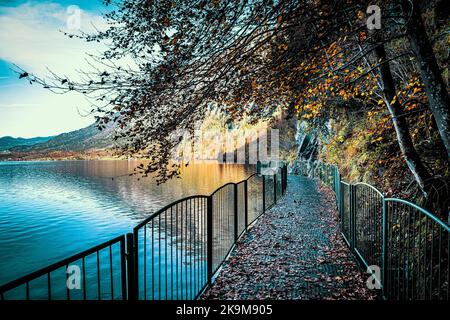 Vista sul sentiero sopraelevato e sul passaggio pedonale lungo la riva orientale del Hallstätter See (Lago Hallstatt) nella regione del Salzkammergut, OÖ, Austria superiore Foto Stock