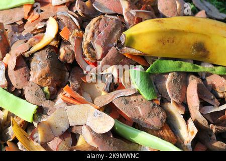 Contenuto di un bidone di compost. Vegetali di spreco e frutta in un bidone di compost. Concorso si decomporrà per fare compost per giardino per coltivare più raccolti. Foto Stock