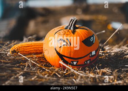Zucca di Halloween nel fieno. jack head spaventoso. tradizione dell'america occidentale. copia spazio. Foto Stock