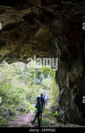 Regno Unito, Inghilterra, Devonshire. Il William Pengelly Cave Studies Centre a Buckfastleigh. Una guida geologa che mostra i visitatori all'ingresso della Grotta di Reeds. Foto Stock