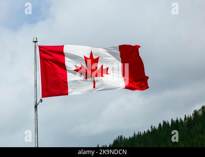 Bandiera nazionale canadese Foto Stock