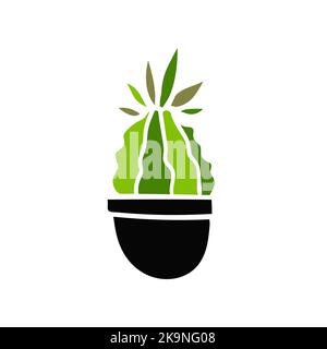 Illustrazione vettoriale del cactus in vaso di foral. Pianta di casa su sfondo bianco Illustrazione Vettoriale