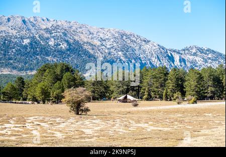 Prati autunnali asciutti nei Monti Taurus, provincia di Antalya, Turchia Foto Stock