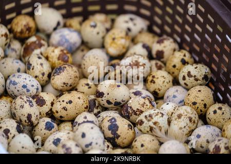 Uova di quaglia nel cestino sul mercato Foto Stock