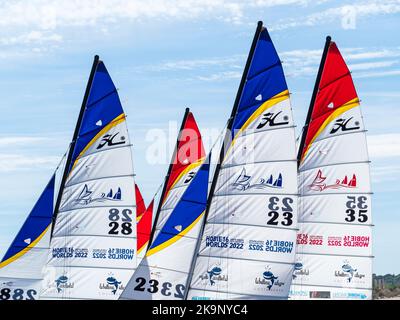 Barche da competizione Hobie 16 pronte a partecipare al Campionato del mondo 23rd presso il campeggio Ballena Alegre. Foto Stock