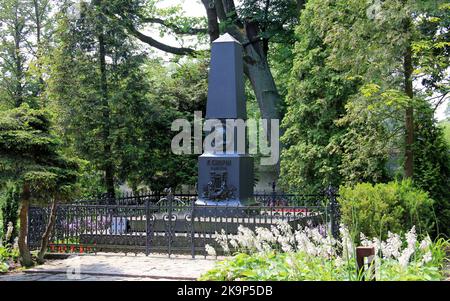 Monumento-obelisco di Chopin, nel parco al luogo di nascita di Frederic Chopin, compositore polacco classico, installato nel 1894, Zelazowa Wola, Polonia Foto Stock