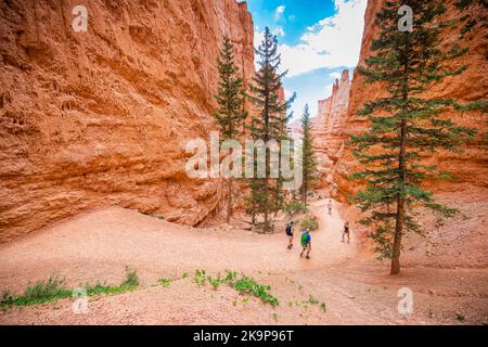 Bryce, USA - 2 agosto 2019: Turisti che camminano sul sentiero ad alto angolo sopra la vista delle formazioni di roccia arancione al Bryce Canyon National Park nello Utah Qu Foto Stock