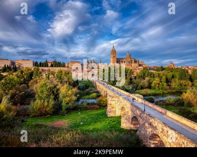 Vista aerea di Salamanca con la cattedrale sullo sfondo e il ponte romano in primo piano. Foto Stock
