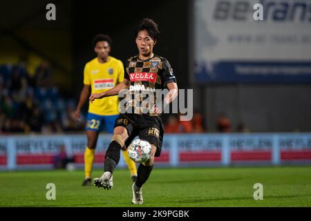 Daichi Hayashi di STVV ha mostrato in azione durante una partita di calcio tra KVC Westerlo e Sint-Truidense VV, sabato 29 ottobre 2022 a Westerlo, il giorno 15 della prima divisione del campionato belga della 'Jupiler Pro League' del 2022-2023. BELGA PHOTO KRISTOF VAN ACCOM Credit: Belga News Agency/Alamy Live News Foto Stock