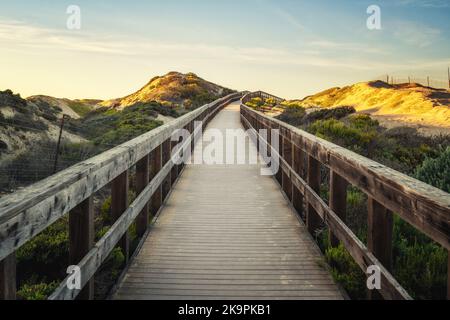 Passerella tra dune di sabbia e habitat naturali, accesso alla spiaggia Foto Stock