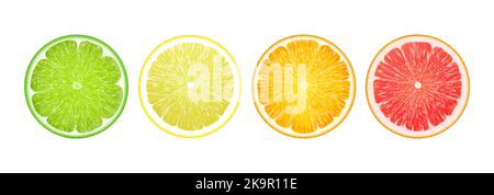 Set di succose fette di agrumi. Rappresentazione realistica del vettore 3D. Set icone limone, arancia, pompelmo, lime. Luminosi elementi colorati isolati su bianco ba Illustrazione Vettoriale