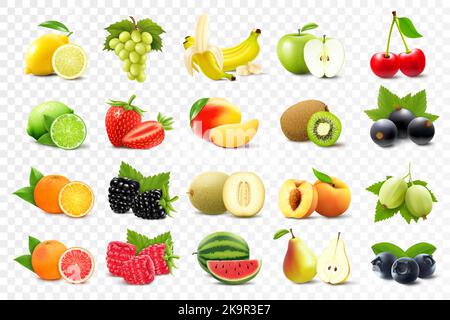 Insieme realistico di vari tipi di frutta con arancia, kiwi, pera, limone, uva, fragole, ribes, pesca, lime, pompelmo, appl., isolato su t Illustrazione Vettoriale