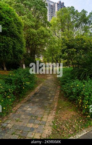 Passerelle, lastre di cemento allineate in prati, splendidi disegni, idee per la decorazione del giardino Foto Stock