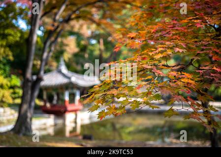 Palazzo reale di Changdeokgung della dinastia Joseon in autunno a Seoul, Corea del Sud, il 23 ottobre 2021 Foto Stock