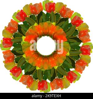 Corona luminosa di fiori di tulipano primaverile e foglie verdi. Illustrazione Vettoriale