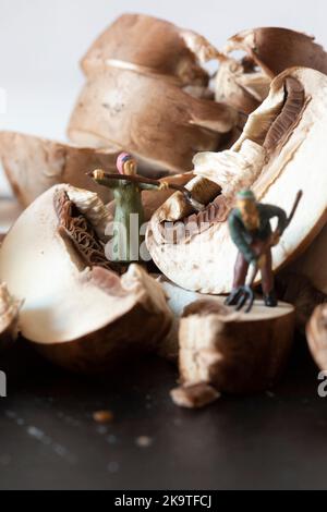 Funghi di castagno tagliati su un tagliere di ardesia, con giardinieri modello in scala miniaturizzata con attrezzi Foto Stock