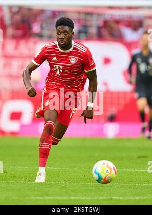 Germania. 29th Ott 2022. Alphonso DAVIES, FCB 19 nella partita FC BAYERN München - 1. FSV MAINZ 05 6-2 1.German Football League il 29 ottobre 2022 a Monaco di Baviera, Germania. Stagione 2022/2023, giorno 12, 1.Bundesliga, FCB, München, 12.Spieltag © Peter Schatz / Alamy Live News - LE NORMATIVE DFL VIETANO QUALSIASI USO DELLE FOTOGRAFIE come SEQUENZE DI IMMAGINI e/o QUASI-VIDEO - Credit: Peter Schatz/Alamy Live News Foto Stock