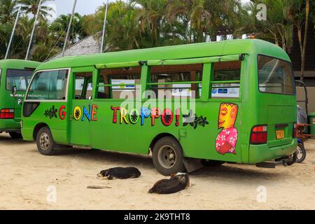 Un tour in autobus 'Gone Troppo' sull'isola di Rarotonga nelle Isole Cook. Due cani addormentati si trovano accanto ad esso Foto Stock