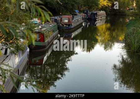 Le barche sul canale ormeggiate al Sawbridgeworth per l'inizio dell'inverno. Foto Stock