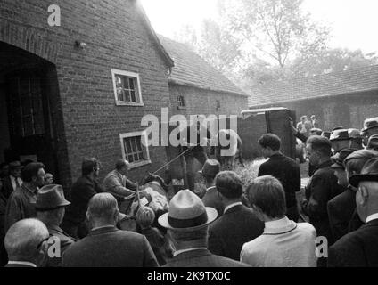 L'asta di un'azienda fallita il 22. 09. 1971 a Greven in Muensterland, Germania Foto Stock
