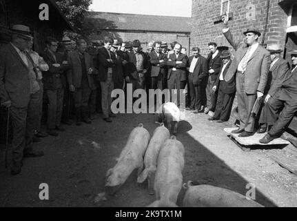 L'asta di un'azienda fallita il 22. 09. 1971 a Greven in Muensterland, Germania Foto Stock