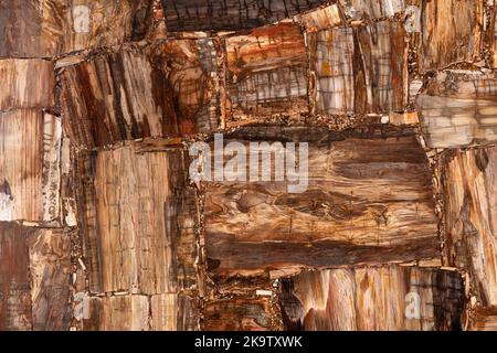 Legno pietrificato opaco texture. Motivo semi prezioso. Esclusivo sfondo gemma di lusso. Materiale per interni unici, decorazioni di design esterno Foto Stock