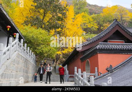 LIANYUNGANG, CINA - 30 OTTOBRE 2022 - i visitatori godono l'autunno al monte Huaguo nella città di Lianyungang, provincia di Jiangsu, Cina, 30 ottobre 2022. Foto Stock