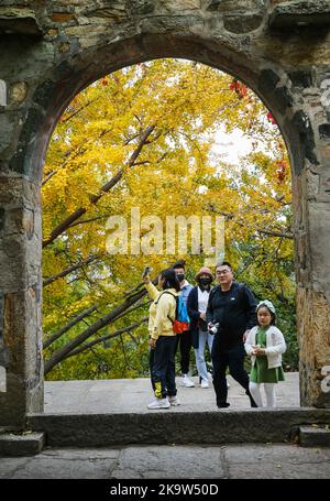 LIANYUNGANG, CINA - 30 OTTOBRE 2022 - i visitatori godono l'autunno al monte Huaguo nella città di Lianyungang, provincia di Jiangsu, Cina, 30 ottobre 2022. Foto Stock