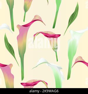 Texture senza cuciture Calla giglio bianco e rosa fiori erbacei piante ornamentali perenni su sfondo bianco vintage vettoriale illustrazione editab Illustrazione Vettoriale