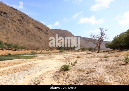 Wadi Dharbat o a volte scritto Darbat, Salalah in Oman Foto Stock