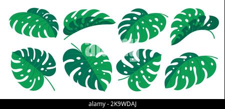 Set di cartoni animati a foglia monstera. Astratto tropicale esotico pianta verde estate giungla fogliame foresta hawaiana. Paradise fiore ramo tessuto elemento di design. Singole foglie di filodendro isolate su bianco Illustrazione Vettoriale