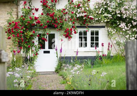 BUCKINGHAMSHIRE, Regno Unito - 03 giugno 2022. Esterno di casa cottage inglese e giardino con rose rampicanti intorno alla porta d'ingresso. Inghilterra, Regno Unito Foto Stock