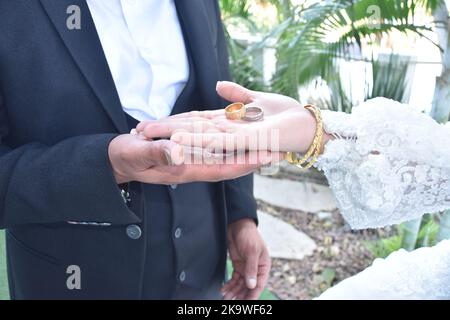 due mani di un uomo e di una donna sposi novelli ad un matrimonio con anelli di nozze d'oro sulla palma Foto Stock