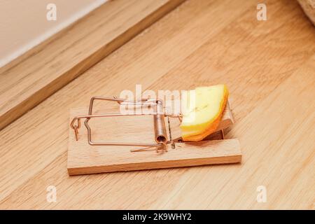 Mousetrap con formaggio sul pavimento in camera Foto Stock