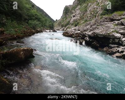 Giovane nero Redstart Phoenicurus ochruros sedeva su recinto, Picos Montagne, Spagna Foto Stock