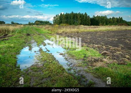 Puddle dopo la pioggia su strada sterrata e campi, vista rurale nella Polonia orientale Foto Stock