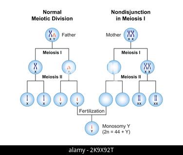 Progettazione scientifica della non giunzione in monosomia y. Simboli colorati. Illustrazione vettoriale. Illustrazione Vettoriale