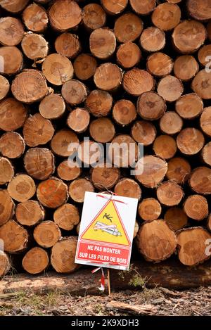 Tronchi tagliati o impilati in legno impilati pronti per la trasformazione o la consegna al Timber Yard con cartello di pericolo o avvertimento di non salire sui Tronchi Francia Foto Stock