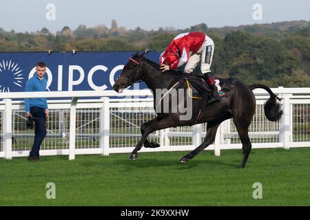 Ascot, Berkshire, Regno Unito. 29th ottobre 2022. Jockey Sam Twiston-Davies equitazione Gowel Road guarda indietro al cavallo Samarete dopo che ha avuto una brutta caduta durante la corsa. Horse Gowel Road cavalcata dal jockey Sam Twiston-Davies ha vinto l'Ascot Underwriting Novices' Limited handicap Chase Steeple alle corse Ascot. Opzioni proprietario o Syndicate. Allenatore Nigel Twiston-Davies, Cheltenham. Allevatore Cyril o'Hara. Opzioni dello sponsor Energy Services Ltd. Credit: Maureen McLean/Alamy Live News Foto Stock