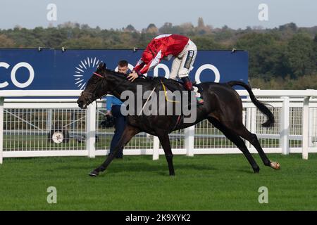 Ascot, Berkshire, Regno Unito. 29th ottobre 2022. Jockey Sam Twiston-Davies equitazione Gowel Road guarda indietro al cavallo Samarete dopo che ha avuto una brutta caduta durante la corsa. Horse Gowel Road cavalcata dal jockey Sam Twiston-Davies ha vinto l'Ascot Underwriting Novices' Limited handicap Chase Steeple alle corse Ascot. Opzioni proprietario o Syndicate. Allenatore Nigel Twiston-Davies, Cheltenham. Allevatore Cyril o'Hara. Opzioni dello sponsor Energy Services Ltd. Credit: Maureen McLean/Alamy Live News Foto Stock