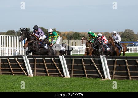 Ascot, Berkshire, Regno Unito. 29th ottobre 2022. Horse Hacker Des Places guidato dal jockey Angus Cheleda (sete viola) libera un ostacolo nel primo miglio prima di arrivare secondo nella Bateux London Handicap Hurdle Race. Proprietari Gruppo o68. Allenatore Paul Nicholls, Ditcheat. Credit: Maureen McLean/Alamy Live News Foto Stock