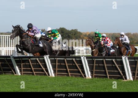 Ascot, Berkshire, Regno Unito. 29th ottobre 2022. Horse Hacker Des Places guidato dal jockey Angus Cheleda (sete viola) libera un ostacolo nel primo miglio prima di arrivare secondo nella Bateux London Handicap Hurdle Race. Proprietari Gruppo o68. Allenatore Paul Nicholls, Ditcheat. Credit: Maureen McLean/Alamy Live News Foto Stock