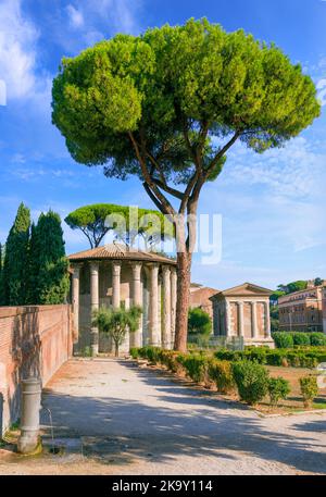 Vista urbana di Roma: Il Tempio circolare di Ercole Vittore vicino al piccolo Tempio rettangolare di Portunus nel Foro Boario, Italia. Foto Stock