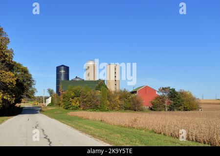 Burlington, Illinois, Stati Uniti. Fienili circondati da silos si siedono al di là di un raccolto di mais stagionato durante un pomeriggio autunnale nell'Illinois nord-orientale. Foto Stock