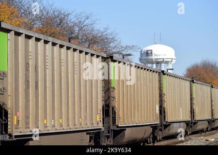 Naperville, Illinois, Stati Uniti. Un treno a carbone destinato a Chicago che passa attraverso l'Illinois nord-orientale in una luminosa giornata autunnale. Foto Stock
