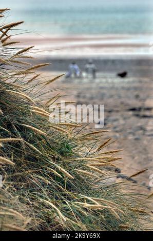 coppia in fuoco differenziale seduta con il cane sulla spiaggia incorniciata da erba di spiaggia di fuoco affilato Foto Stock